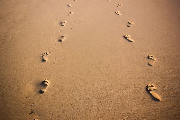 Unseen footprints