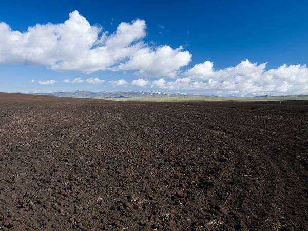 Ploughing comes before growth